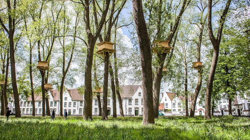 Triennale Brugge 2015 Tadashi Kawamata Tree Huts Jan D Hondt min
