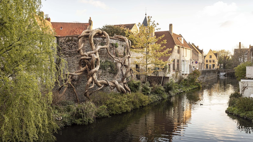 Triennale Brugge 2021 Henrique Oliveira Banisteria Caapi Desnatureza 4 Matthias Desmet min