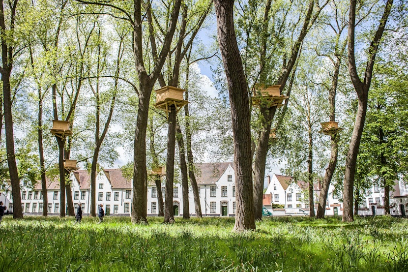 Triennale Brugge 2015 Tadashi Kawamata Tree Huts Jan D Hondt min